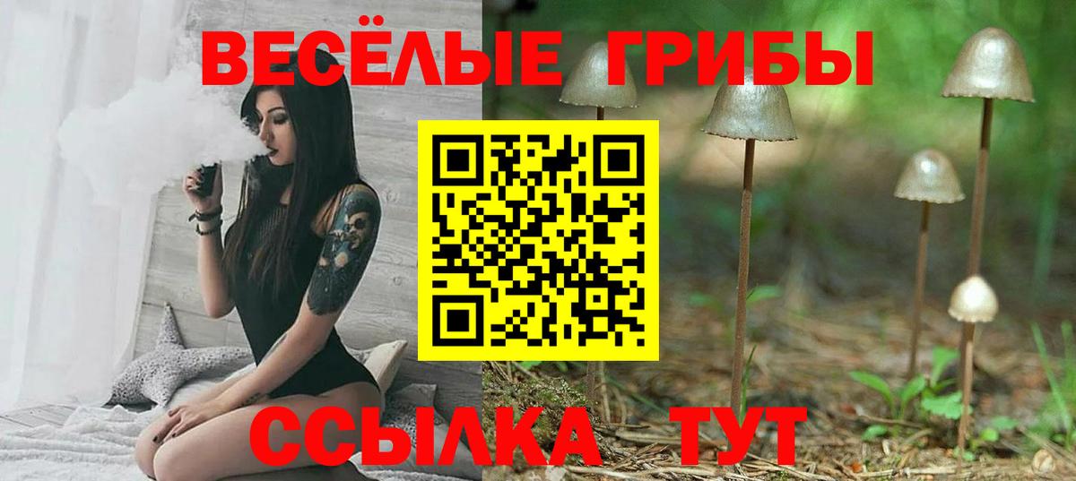 Канабис  Кодеин  КОКАИН  ГАШ  МЕФ кристаллы  Ивантеевка  Вход с VPN 
