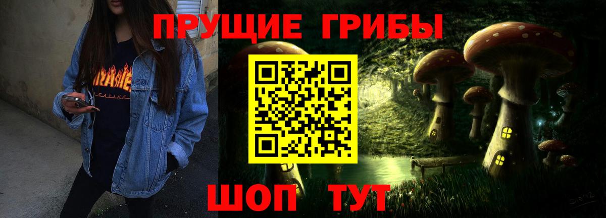 Ивантеевка  Псилоцибиновые грибы Magic Shrooms  Вход с VPN  где купить наркоту  Псилоцибиновые грибы прущие грибы 